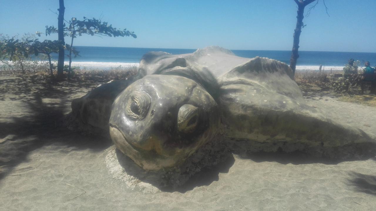Las Cabinas De Veronique Venado Bagian luar foto